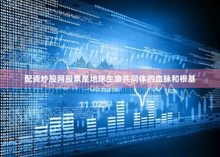 配资炒股网股票是地球生命共同体的血脉和根基