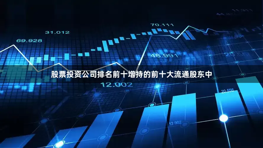 股票投资公司排名前十增持的前十大流通股东中